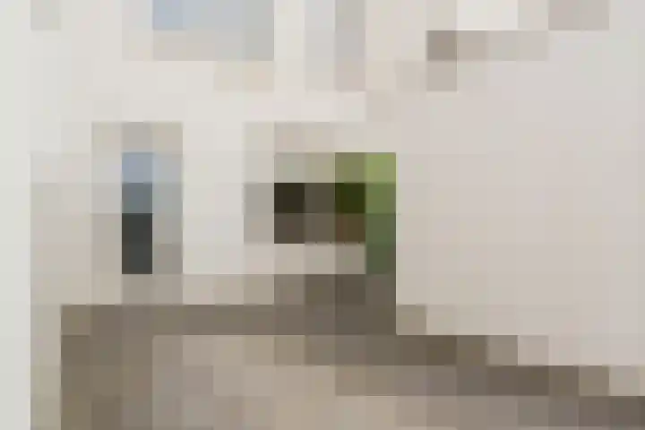 Plateellaan 22 Purmerend thumbnail 42