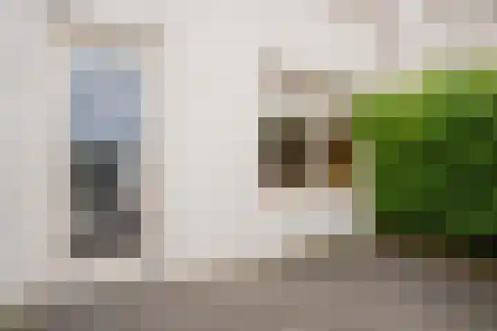 Plateellaan 22 Purmerend thumbnail 43
