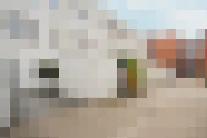 Plateellaan 22 Purmerend thumbnail 44