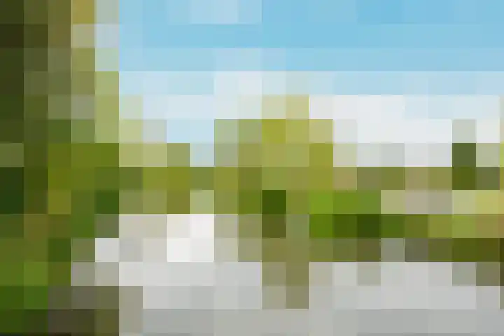 Plateellaan 22 Purmerend thumbnail 52