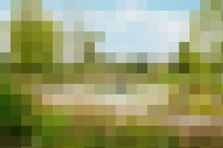 Plateellaan 22 Purmerend thumbnail 53