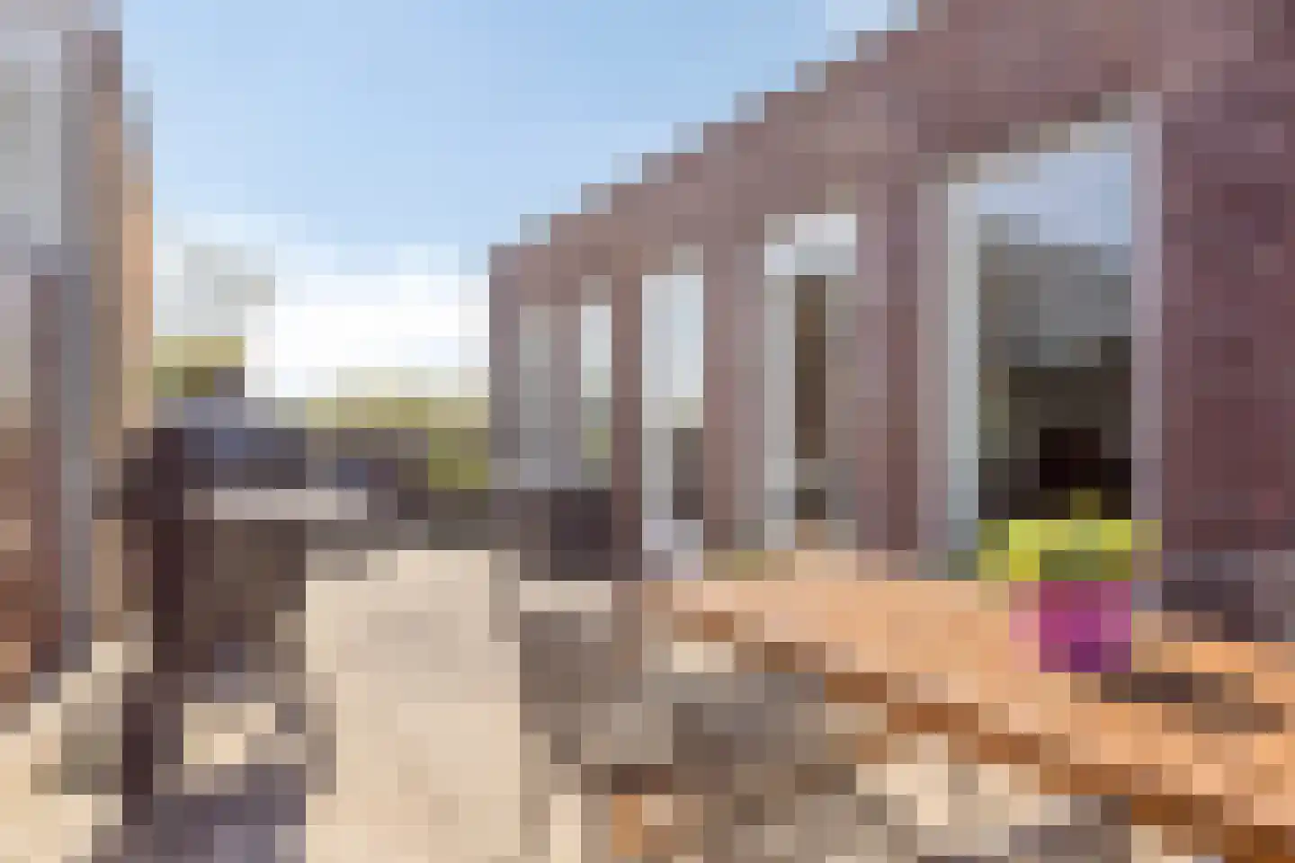 Plateellaan 34 Purmerend thumbnail 37