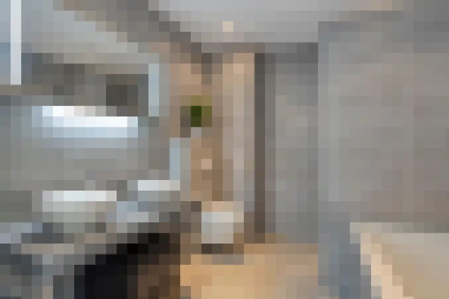 Plateellaan 34 Purmerend thumbnail 4
