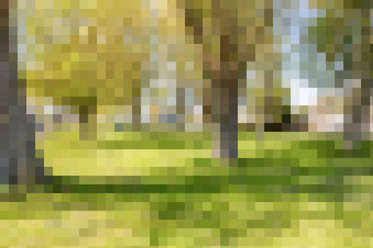 Plateellaan 34 Purmerend thumbnail 48