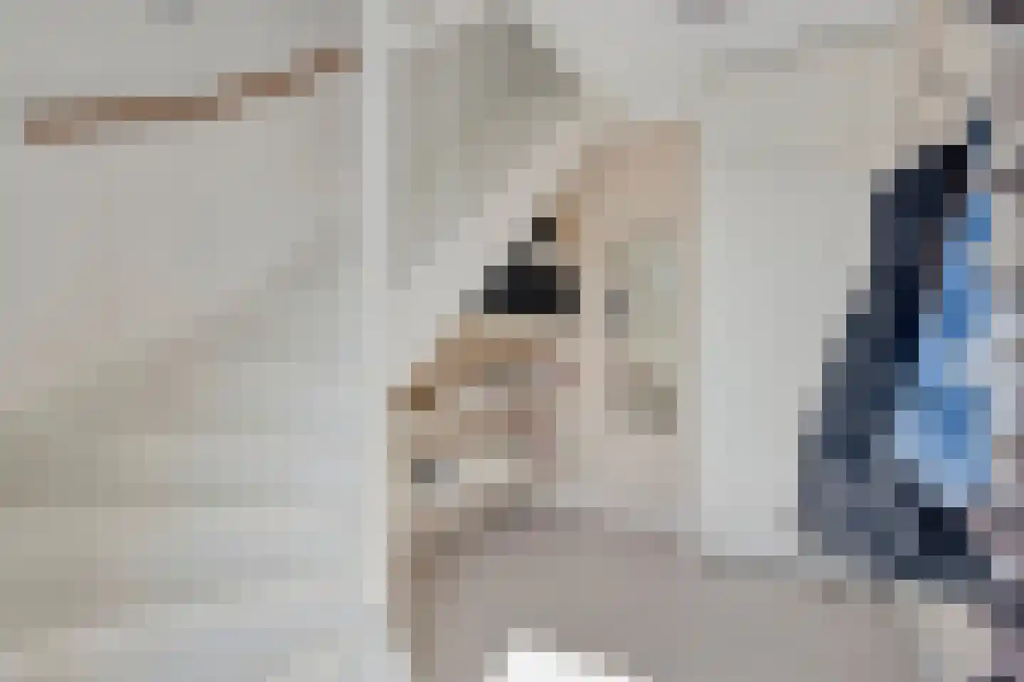 Plateellaan 34 Purmerend thumbnail 8