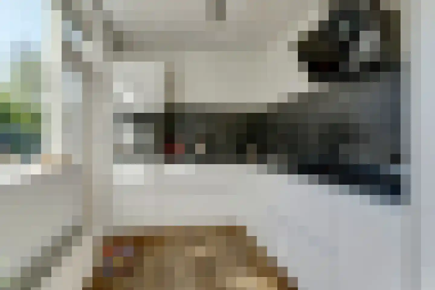 Platenmakersstraat 107 Elst thumbnail 10