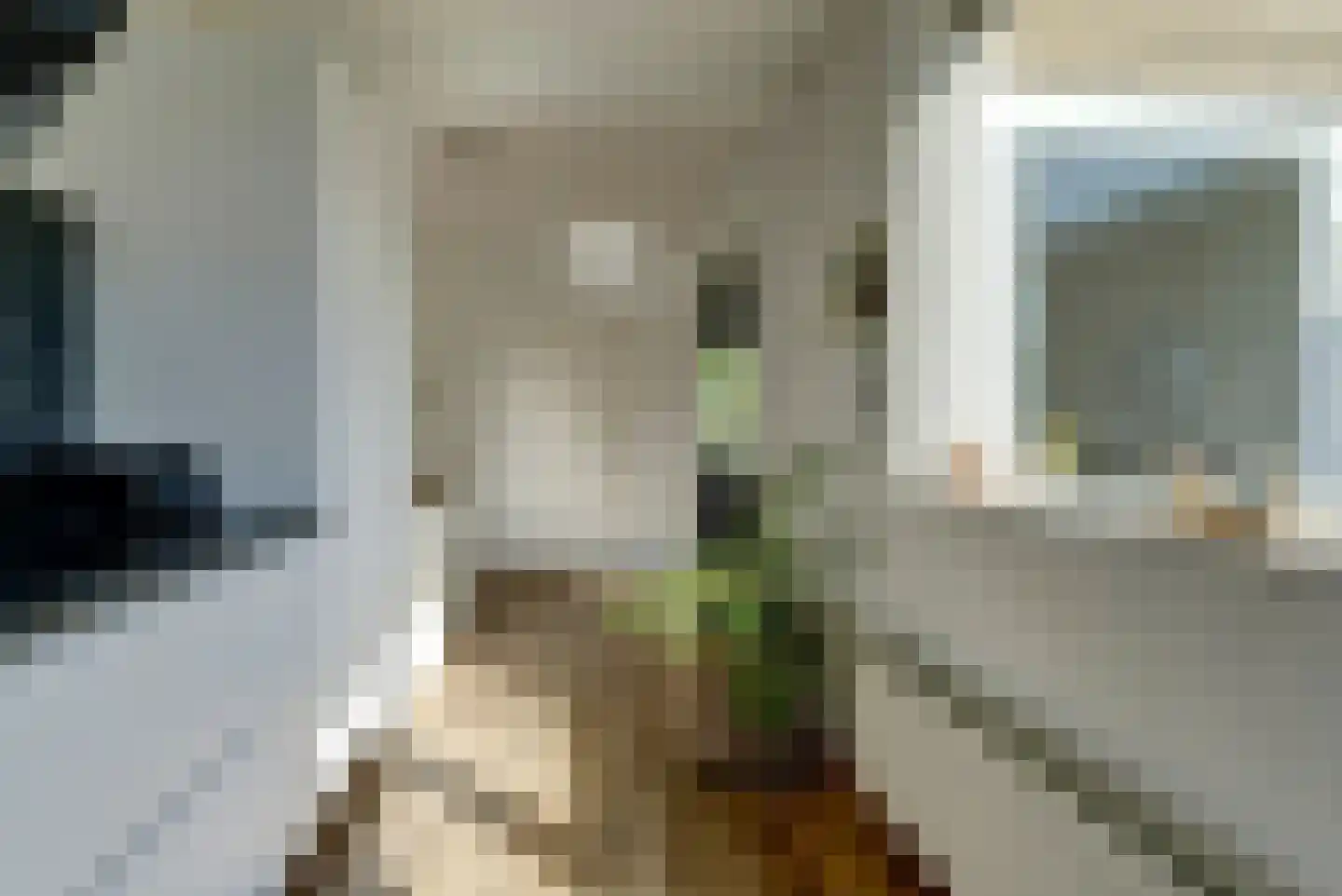 Platenmakersstraat 107 Elst thumbnail 9