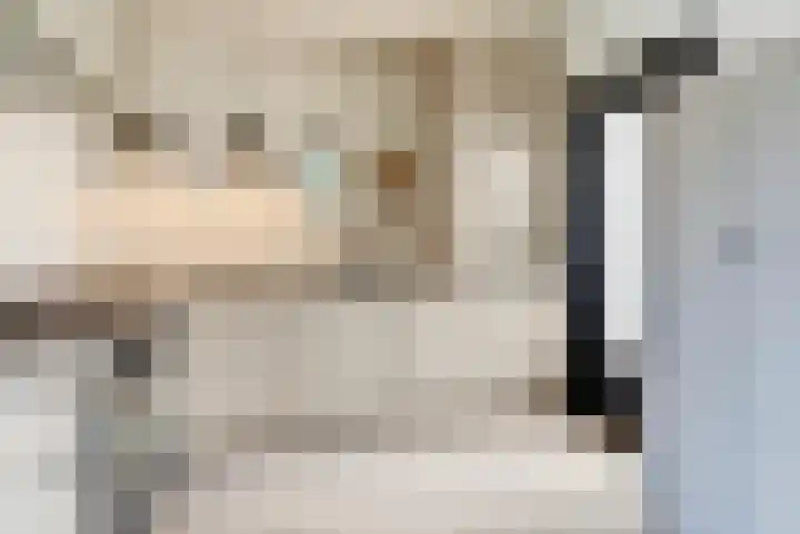 Platenmakersstraat 59 Elst thumbnail 11