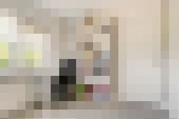 Platenmakersstraat 59 Elst thumbnail 21