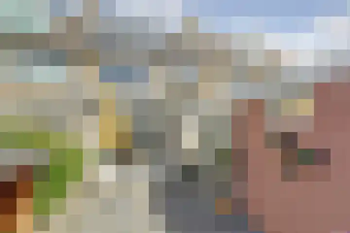 Platenmakersstraat 59 Elst thumbnail 33