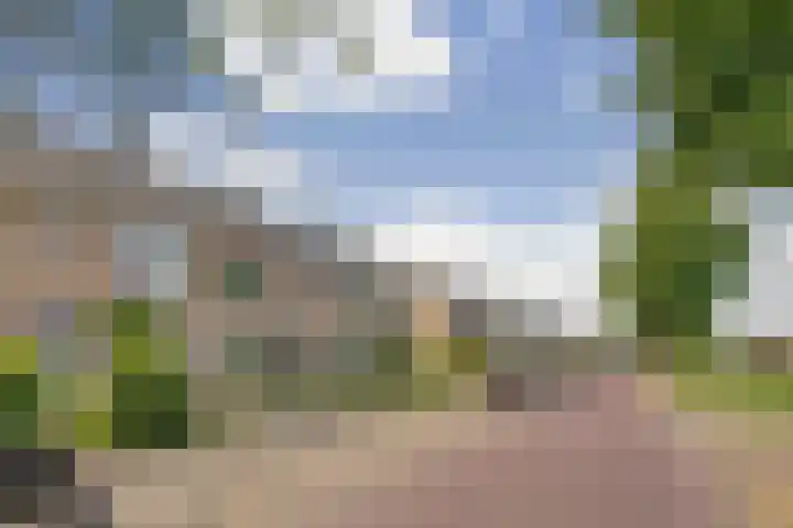 Platenmakersstraat 59 Elst thumbnail 36