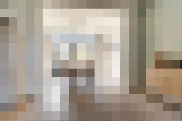 Platenmakersstraat 59 Elst thumbnail 8