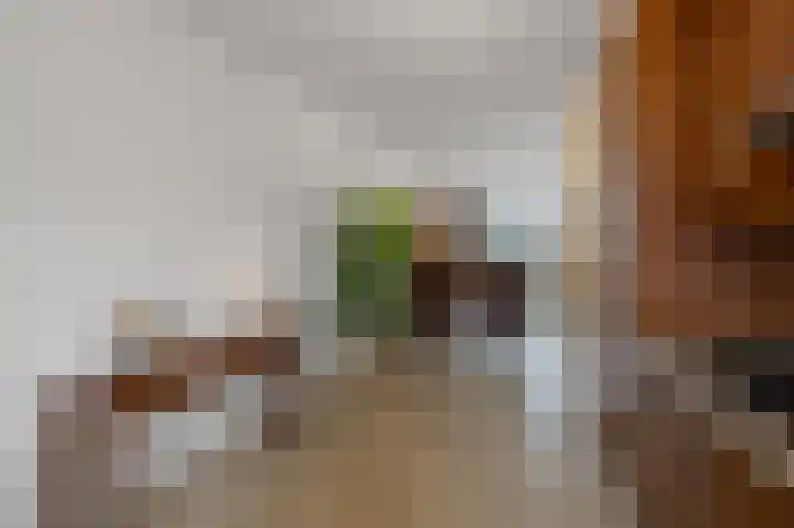 Platenwagenweg 4 Amsterdam thumbnail 6