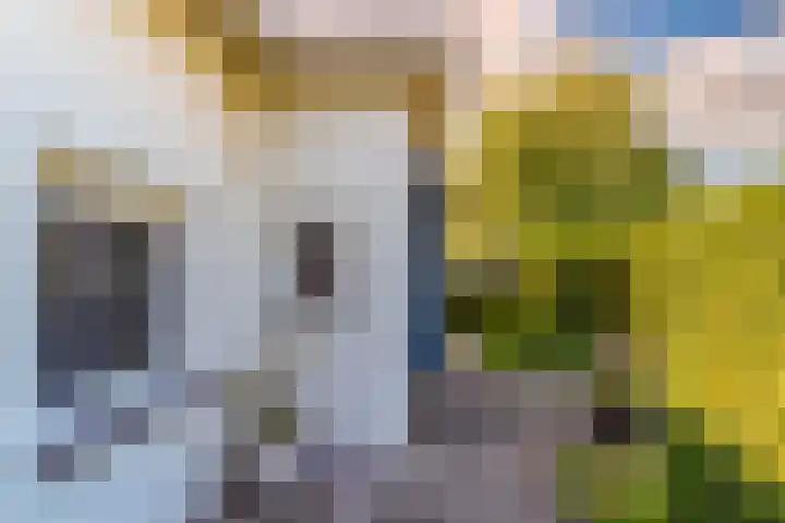Plateweg 10 Bocholtz thumbnail 15