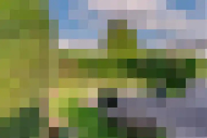 Plateweg 10 Bocholtz thumbnail 16