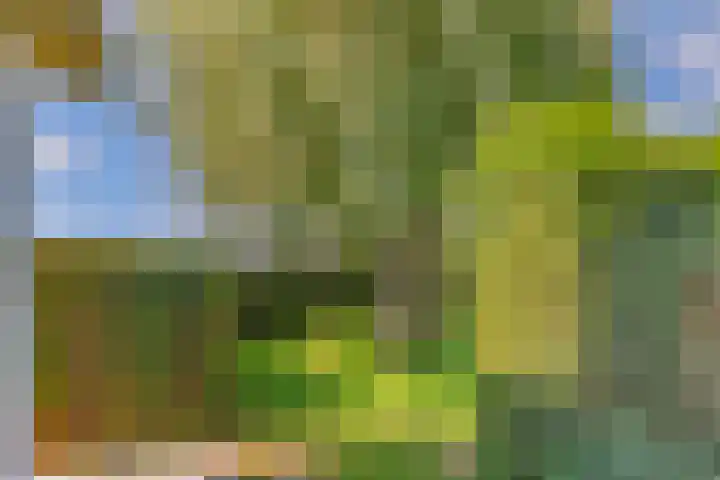 Plateweg 10 Bocholtz thumbnail 17