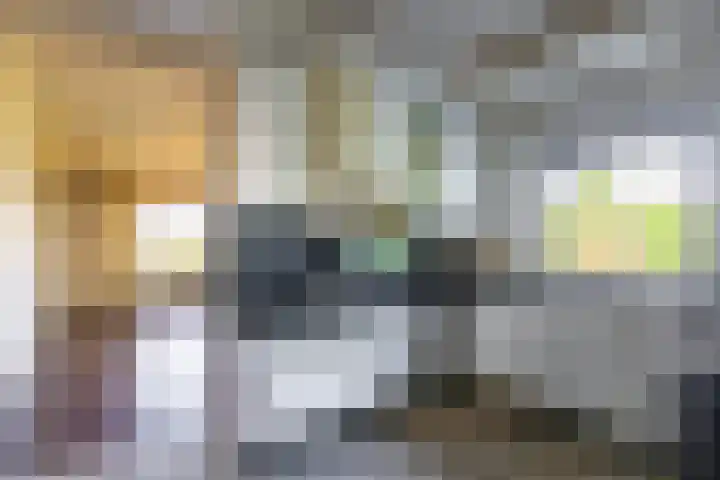 Plateweg 10 Bocholtz thumbnail 6