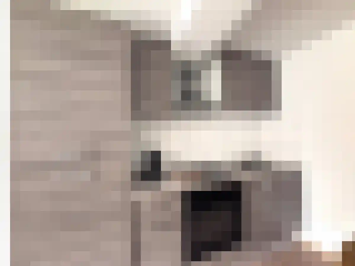 Platielstraat 3 Maastricht thumbnail 4
