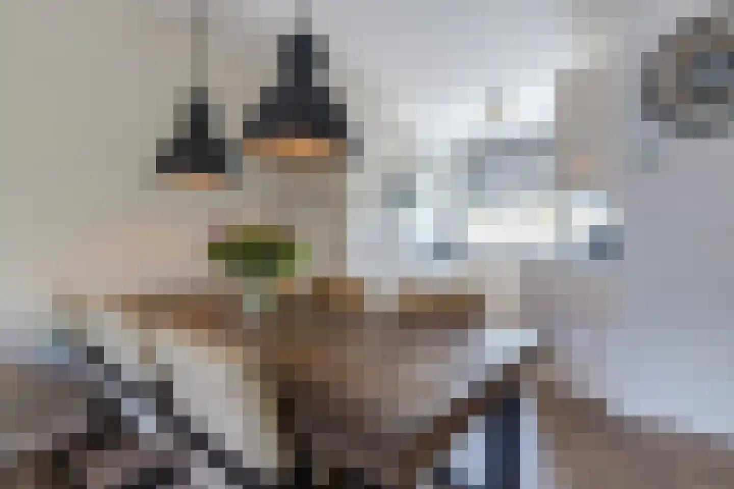 Platinadijk 50 Roosendaal thumbnail 24