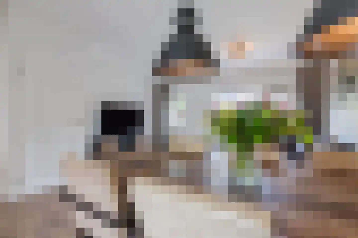 Platinadijk 50 Roosendaal thumbnail 26