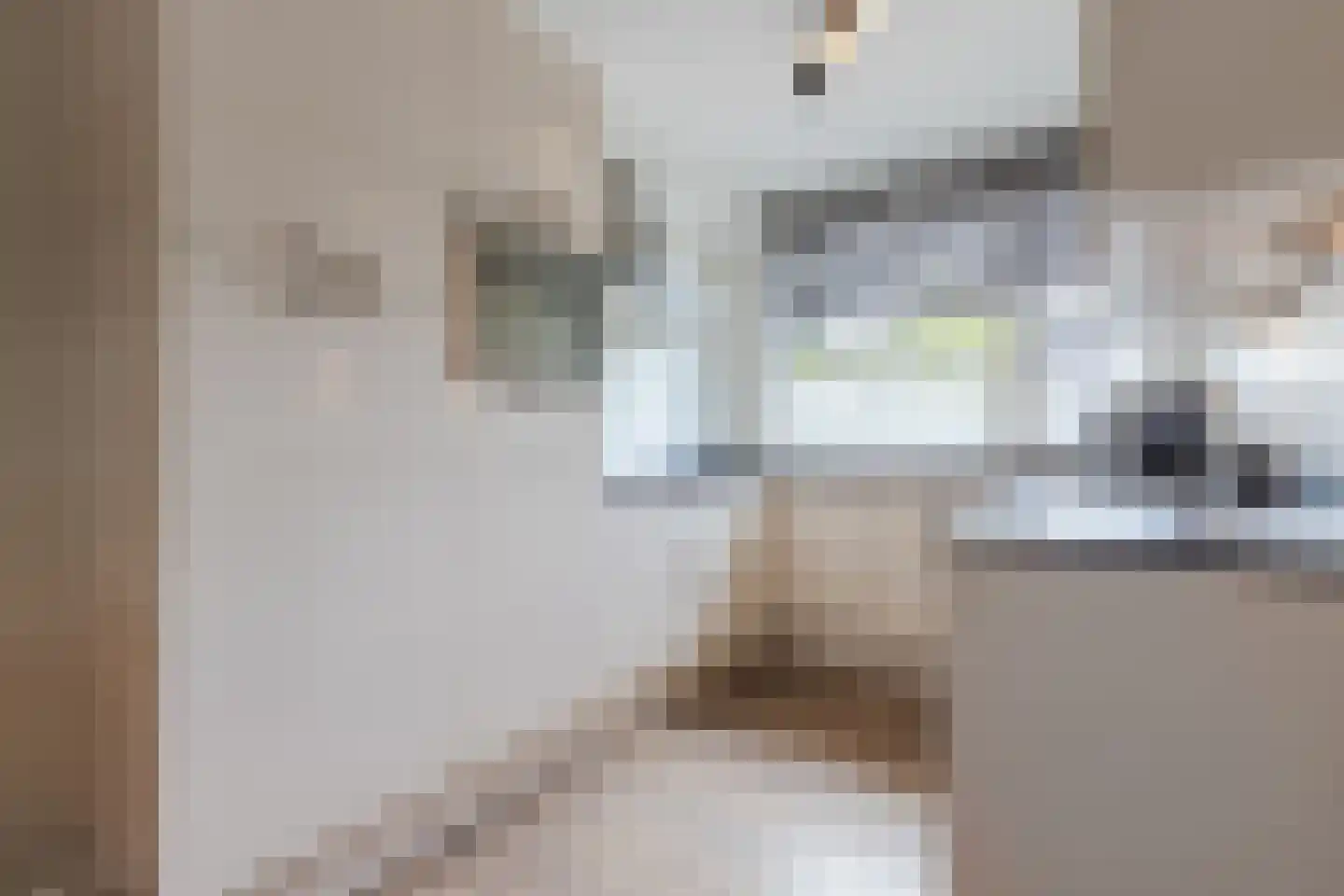 Platinadijk 50 Roosendaal thumbnail 27