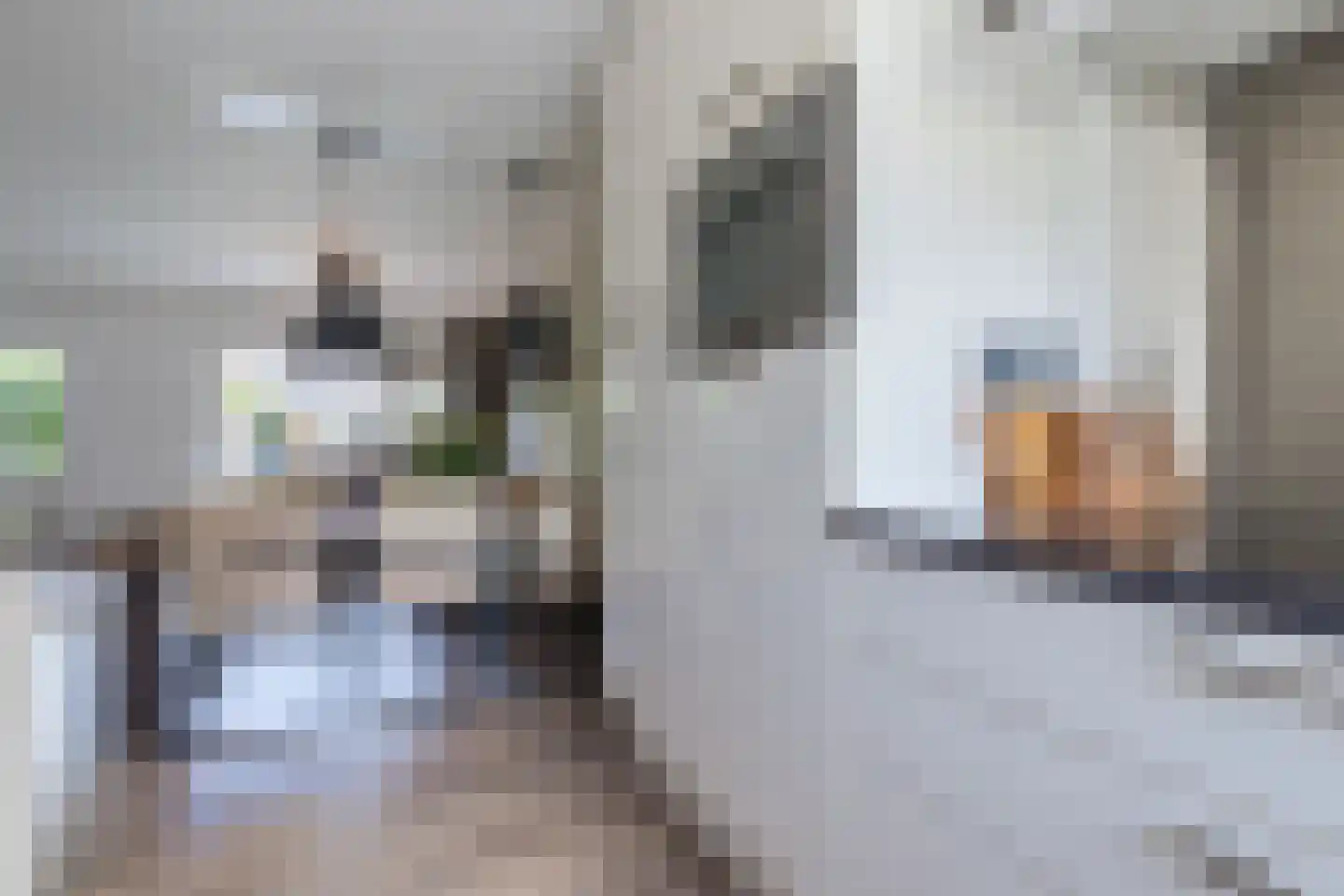 Platinadijk 50 Roosendaal thumbnail 30