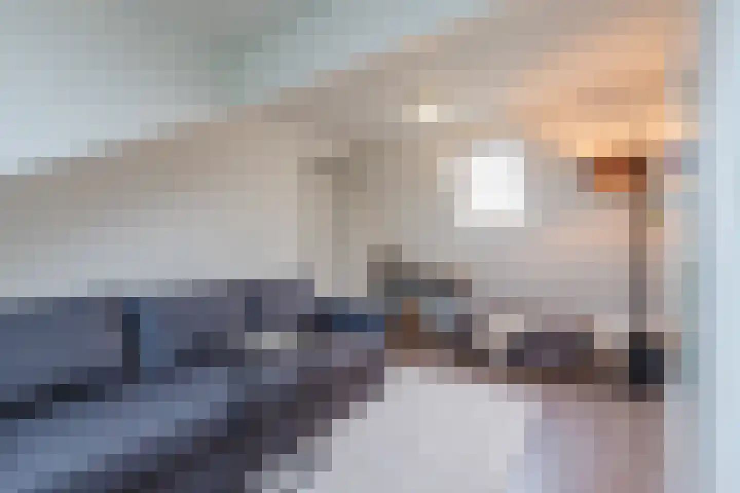 Platinadijk 50 Roosendaal thumbnail 47