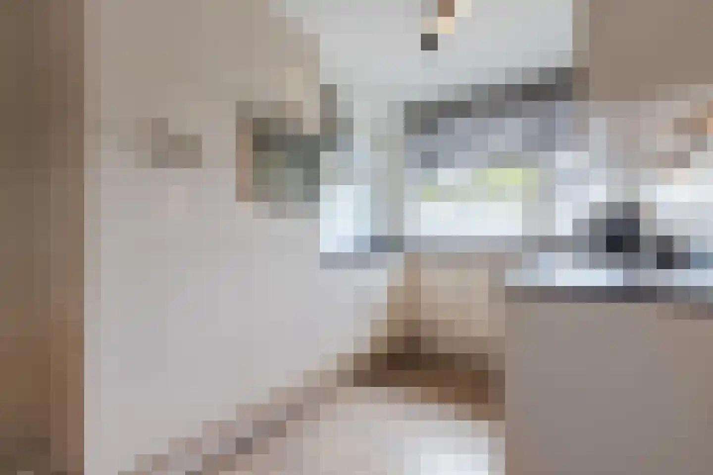 Platinadijk 50 Roosendaal thumbnail 5