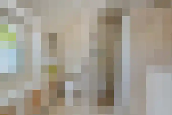 Platinadijk 58 Roosendaal thumbnail 22