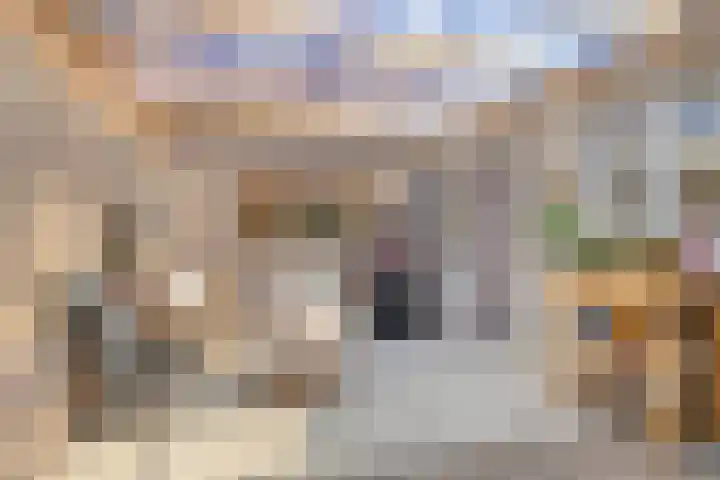Platinadijk 58 Roosendaal thumbnail 26