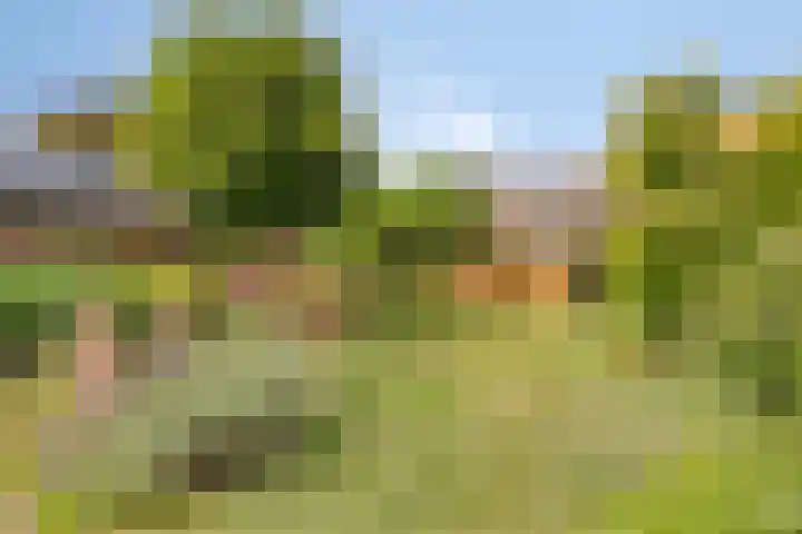 Platinadijk 58 Roosendaal thumbnail 29