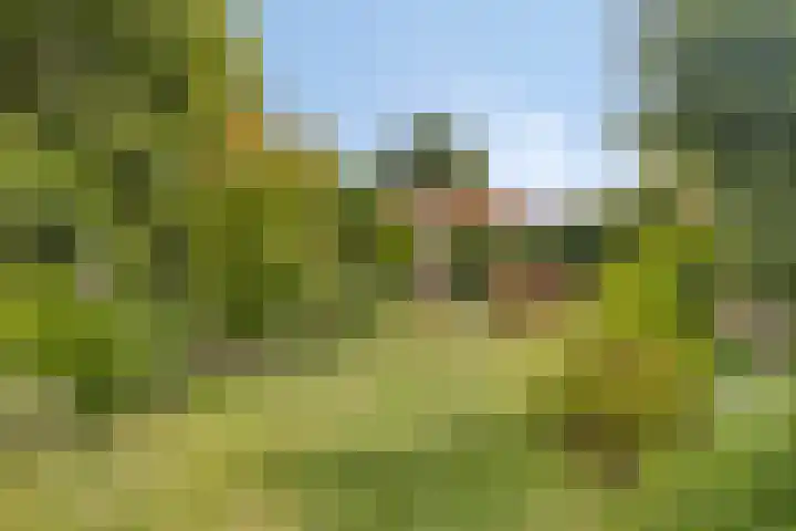 Platinadijk 58 Roosendaal thumbnail 30
