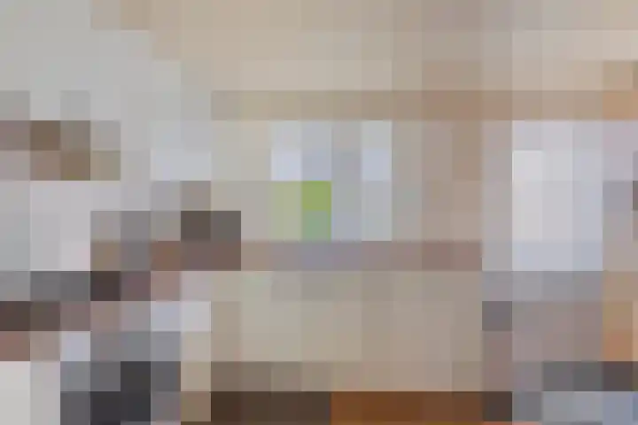 Platinadijk 58 Roosendaal thumbnail 9