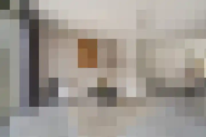 Platinum 75 Arnhem thumbnail 10