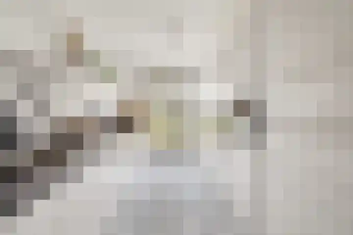 Platinum 75 Arnhem thumbnail 17