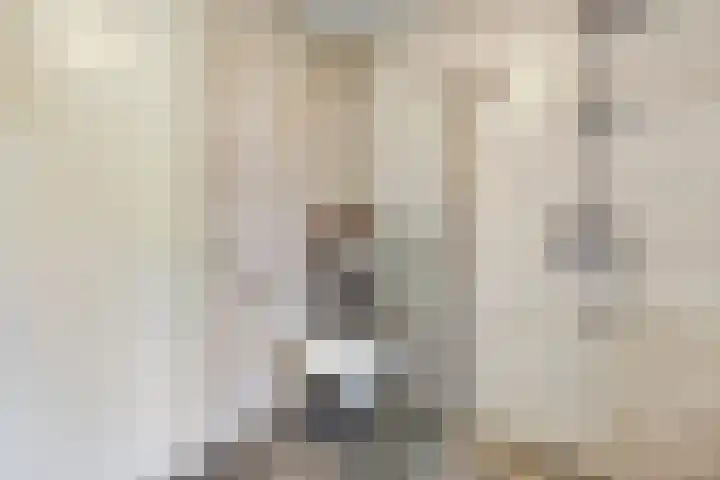 Platinum 75 Arnhem thumbnail 29