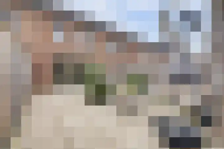 Platinum 75 Arnhem thumbnail 39