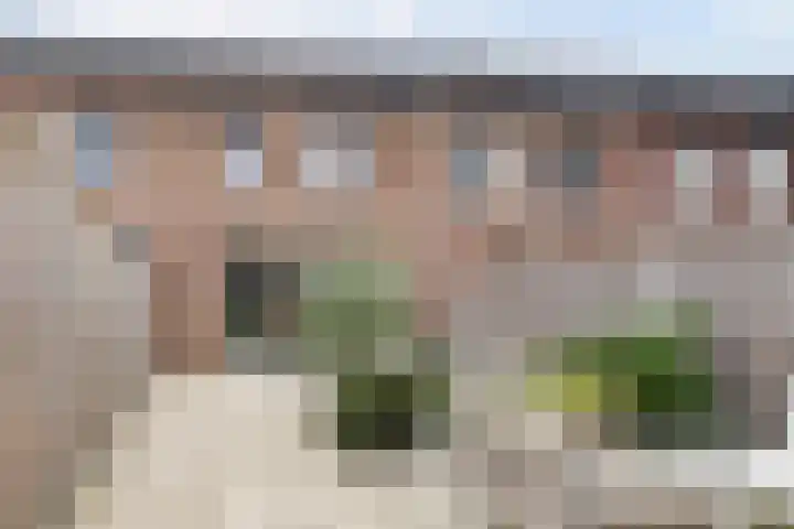 Platinum 75 Arnhem thumbnail 40