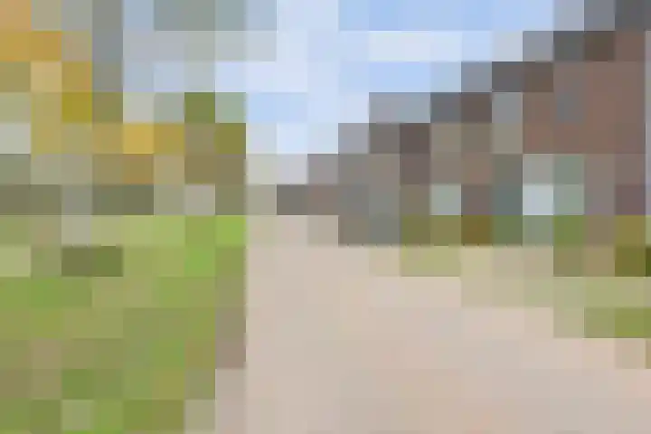 Platinum 75 Arnhem thumbnail 5