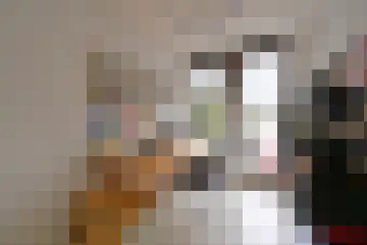 Platohof 16 Huizen thumbnail 10