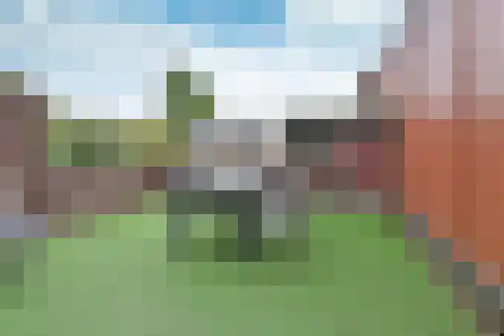 Platohof 16 Huizen thumbnail 13