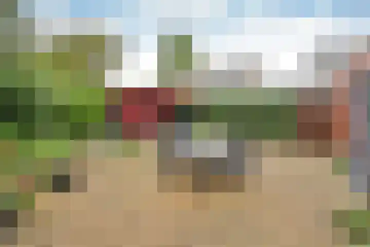 Platohof 16 Huizen thumbnail 15