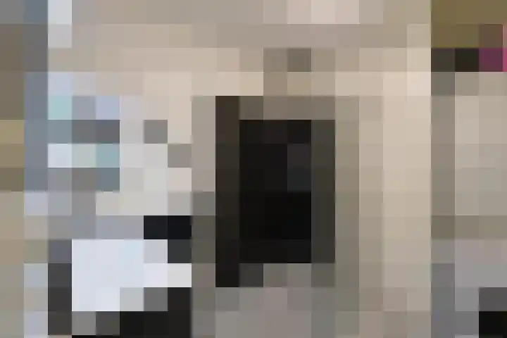 Platohof 16 Huizen thumbnail 7