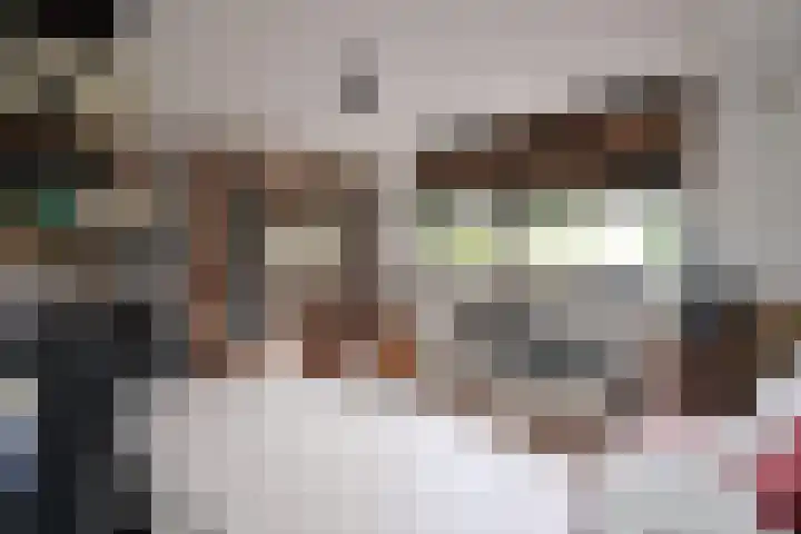 Platohof 16 Huizen thumbnail 8