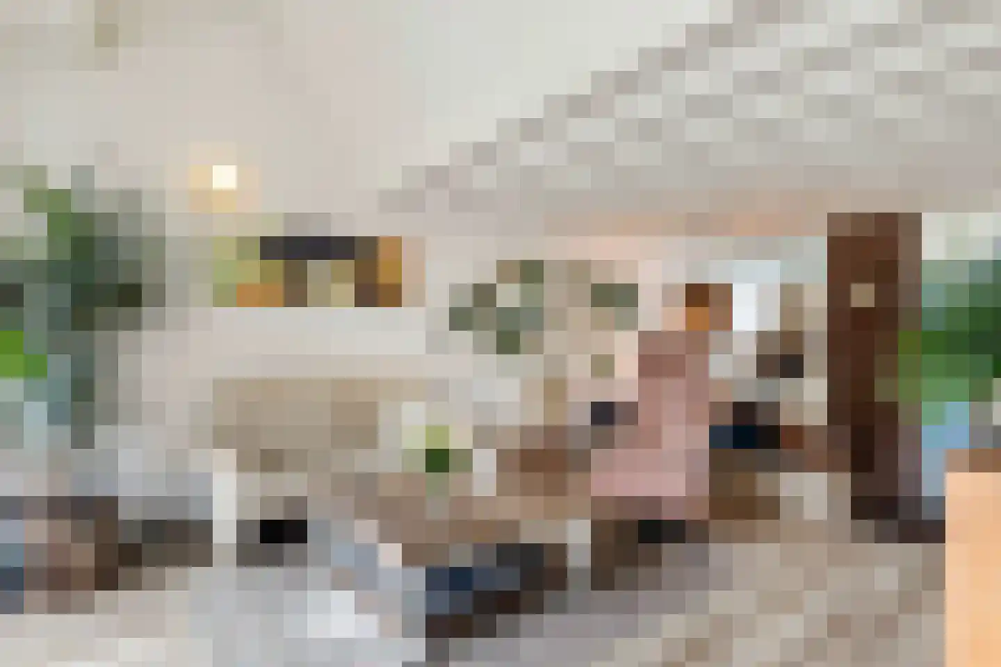 Platohôf 25 Stiens thumbnail 10