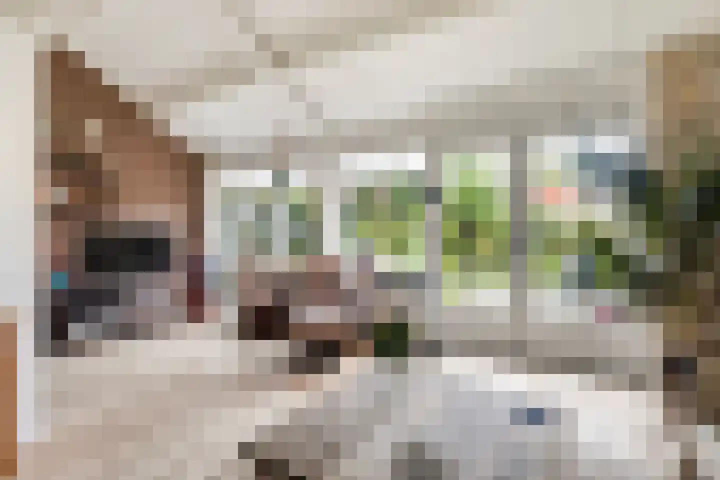 Platohôf 25 Stiens thumbnail 11