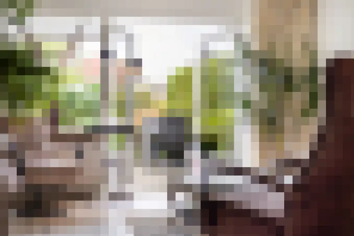 Platohôf 25 Stiens thumbnail 14