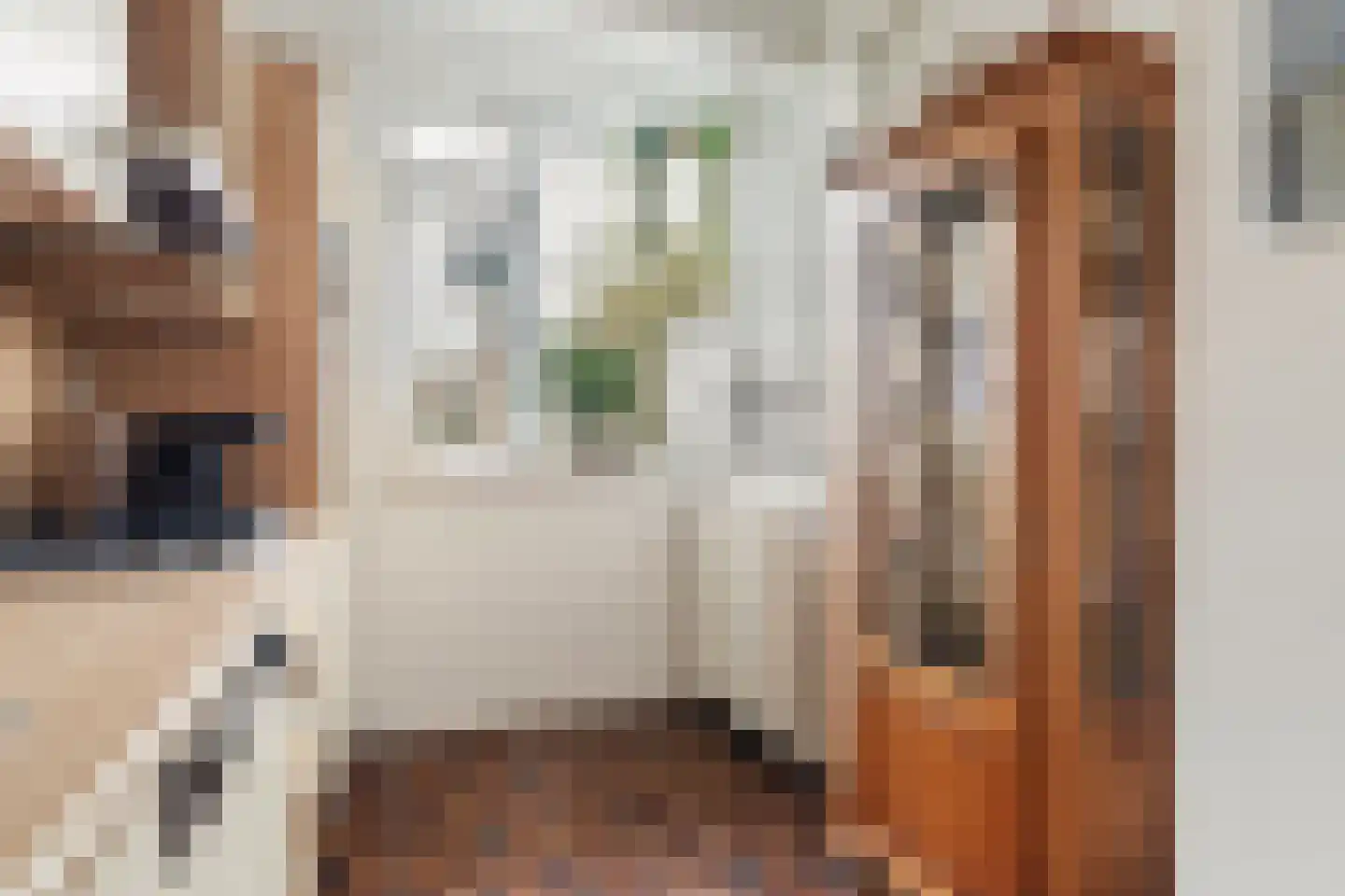 Platohôf 25 Stiens thumbnail 18