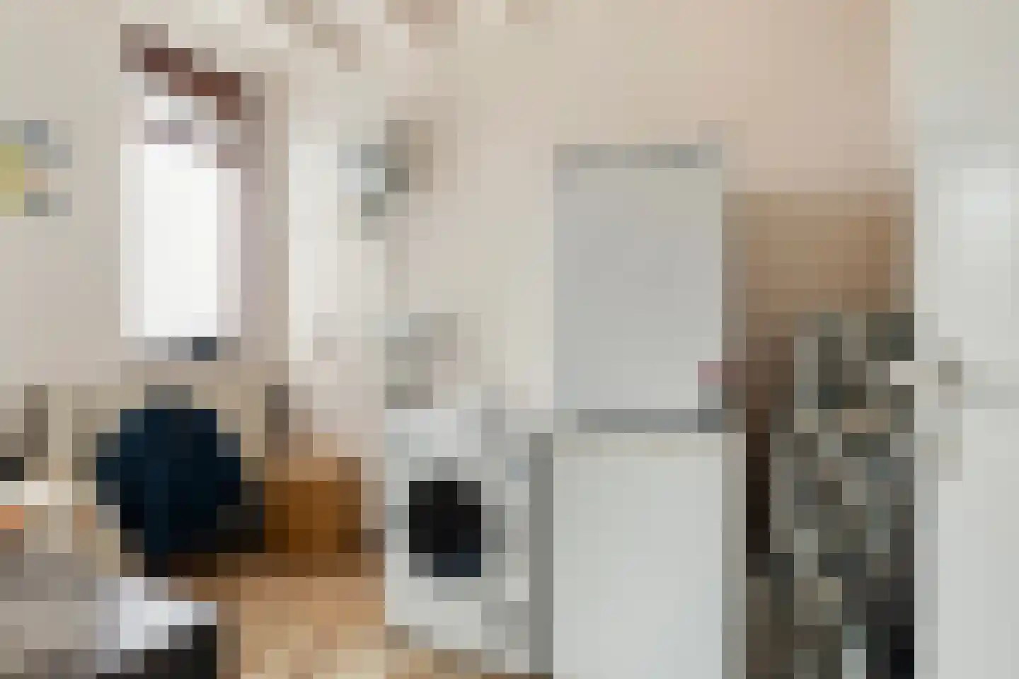 Platohôf 25 Stiens thumbnail 19