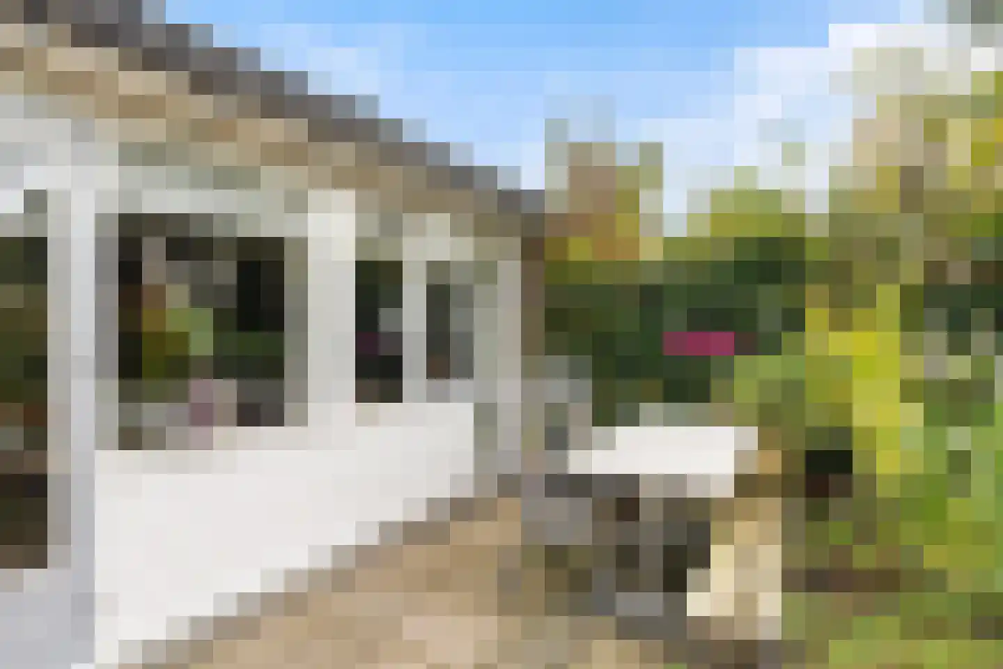 Platohôf 25 Stiens thumbnail 29